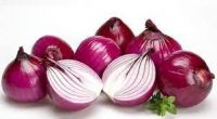 Onion Extract/ Oion P.E,