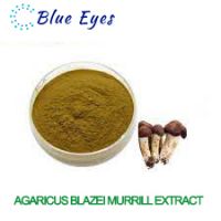 Brazil Mushroom P.E/Agaricus blazei Murrill Extract