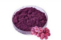Grape Skin P.E./Grape skin extract / grape skin red