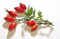 Rose Hips P.E. Rose hip Extract Powder ,VC ,Polyphenols 