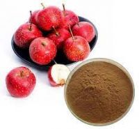  Hawthorn Fruit P.E. Hawthorn Extract Pure natural plant extract