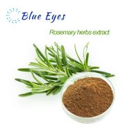 Rosemary Herb Extract Water-soluble plant extracts Antioxidant anti-aging Customizable