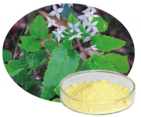 Epimedium Extract epimedium icariime pure plant extract  Herbal Extracts