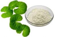 High Purity Madecassoside Supplier Organic Centella Asiatica Extract