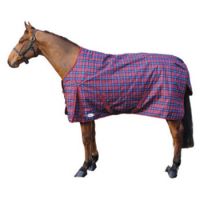 HORSE BLANKET