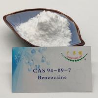Safe Customs Clearance Anesthetics 99% Benzocaine Hydrochloride CAS 94-09-7 Benzocaine Factory Direct Sales