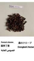 Clove spice and herb