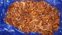 Dried Fishes ( Shrimps)