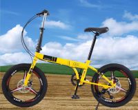 20inch carbon steel/al alloy frame folding bike 16"