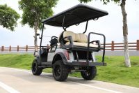 Electric 4 Seater Golf Cart/buggy Lifted