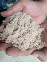 Rice Bran