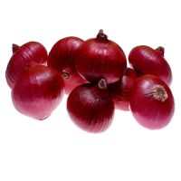 FRESH RED ONION