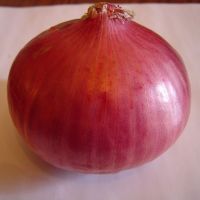 FRESH WHITE ONION