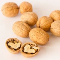 WALNUTS