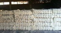 SISAL FIBER