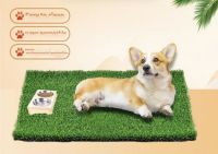 The latest artificial lawn pet toilet mat fake grass balcony simulation lawn dog cat poo artificial carpet mat