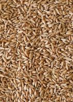 Soft Milling Wheat 
