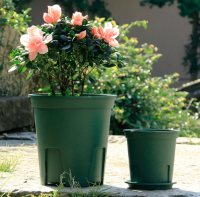 Domestic round Qingshan pot root control flower pot plastic breathable gallon pot moon season iron wire lotus pot can be matched with support