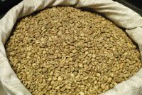Green Robusta S16 Coffee Beans