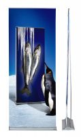 Buy an Expolinc Roll Up Classic Retractable Banner Stand | Trade Show Display Pros