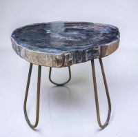 Unique Coffee - petrified wood slab top - table
