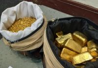 Gold bars, nuggets and monkey skins