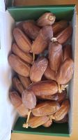 Sweet Semi-Dry Dates Supplier from Algeria, Best Price Dates Wholesale Factory (OEM, ODM)