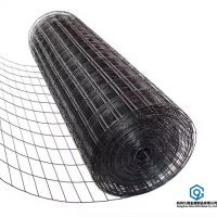 Welded Wire Mesh Galvanized /PVC Coated