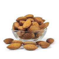 New Crop Natural raw almonds food grade healthy organic almond nuts high quality dried almonds for sale in bulk