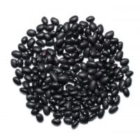 Dried Oaganic Black Kidney Bean Wholesale Black Beans