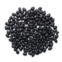Export Black Kidney Beans Light Speckled High Quality Black Kidney Beans Cheap Price