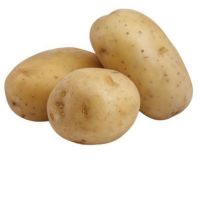 New senson potato export bag mesh style wholesale fresh potatoes with good price