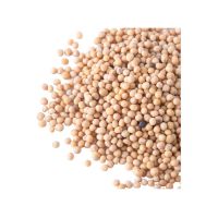 wholesales new crop high quality single spices white mustard seeds food spices whole mustard