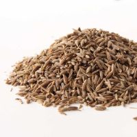 Best Product Black Cumin Seed and New Harvest Single Species
