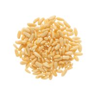 Natural Pine nuts kernels wholesales