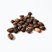 Top Quality Coffee Bean Best Ready Raw Coffee Beans