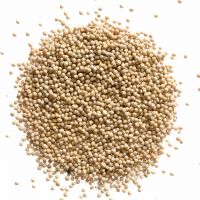 100% Pure organic mustard seed extract / Best Grade Mustard Seeds