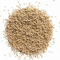 High Quality Yellow Mustard Seed For Cooking Reliable Food Mustard Seeds In Bulk