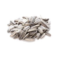 New Arrival Healthy Sunflower Seeds Best Quality Sunflower Seeds Available At Affordable Price