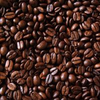 High Quality Raw Roasted Coffee Beans Bulk Coffee Beans Wholesale Low Price For Sale