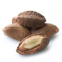 Wholesale Premium Organic Toasted Brazil Nuts With Shell for Snacks