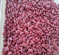 Black Kidney Beans/white Kidney Beans/red Kidney Beans/speckled Kidney Beans/haricot Beans