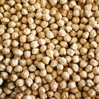 Chickpeas Good Quality At Factory 7 mm 8 mm 9 mm Price Chickpeas Chickpeas Snacks New Crop Kabuli Packaging