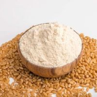Wheat Flour 50kg Best Wholesale Prices New Inventory Wheat Flour