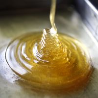 HACCP Bulk Bulk Packaging Natural Pure Honey