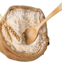 High Quality Wheat Flour In bulk Wholesale price