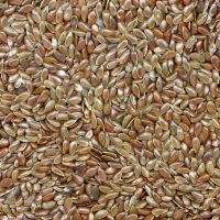 Organic Whole Gold Linseed Grain Brown Flax Seeds by trusted supplier