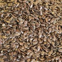 High Protein Professional Manufacture Supply Flax Seed Price