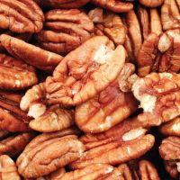 Organic Roasted Pecan Nuts in Wholesale price market