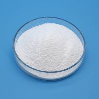Hot Sales Binders Powder Sodium Silicate Powder Price CAS 1344-09-8 Instant Sodium Silicate